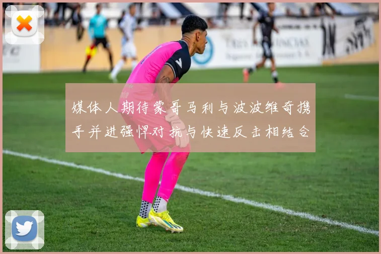 媒体人期待蒙哥马利与波波维奇携手并进强悍对抗与快速反击相结合