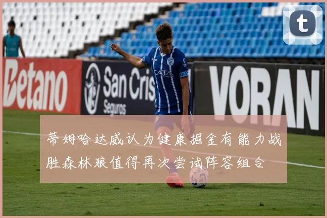 蒂姆哈达威认为健康掘金有能力战胜森林狼值得再次尝试阵容组合
